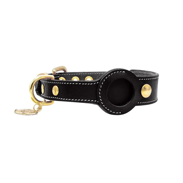 Betcollar™ – The Smart AirTag Collar for Dogs