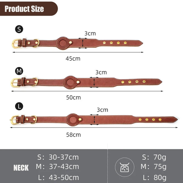 Betcollar™ – The Smart AirTag Collar for Dogs