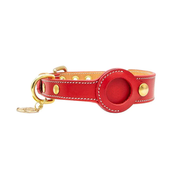 Betcollar™ – The Smart AirTag Collar for Dogs