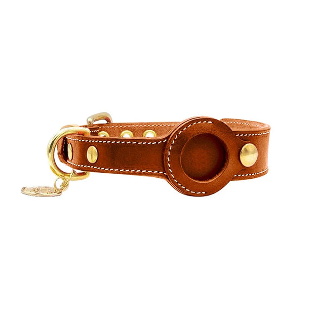 Betcollar™ – The Smart AirTag Collar for Dogs